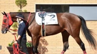 シランケド出走取消、オボッチャマ競走除外など 11月13日の出来事一覧/東京・阪神・福島