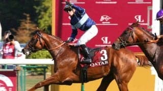 【ジャパンC】外国馬6頭や地方馬リッジマンなどが登録