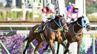 【オーロC】ウインシャーロットが人気に応える