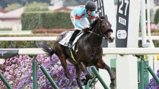 【新馬/東京6R】断然人気 トラマンダーレがデビューV