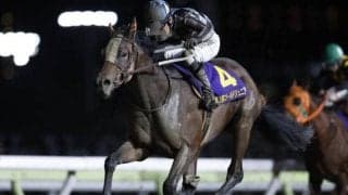 無敗4連勝中のリベイクフルシティは2枠2番/大井・ハイセイコー記念枠順