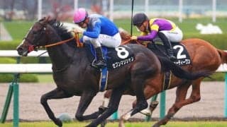 【黄菊賞】セブンマジシャンがデビュー2連勝
