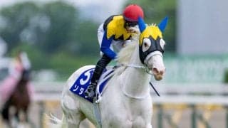 【マイルCS登録馬】ソダシなど17頭