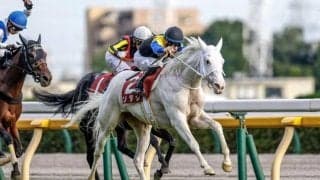 【マイルCS見どころ】ソダシがサリオス、シュネルマイスターら牡馬一線級と初対決