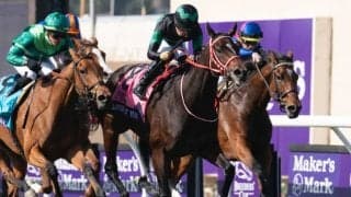 アメリカ芝G1・2勝の5歳牝馬が有馬記念登録 実現すれば海外馬参戦は史上初