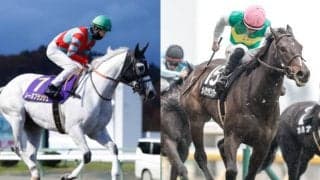 『6億円馬』の仔や牝馬ダート路線の古豪がターフを去る 先週のJRA抹消馬一覧