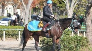 重賞2勝馬リアアメリアの半弟クラッパーボードが初陣/関東馬メイクデビュー情報