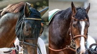 ダノンベルーガがレーティング2位で出走可能に ジャパンカップ登録馬のレーティング一覧