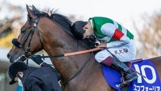 【有馬記念】ファン投票が開催決定！ 17日からWeb限定でスタート