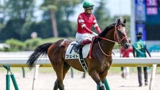 【東スポ杯2歳S想定騎手】フェイトは福永祐一騎手、ハーツコンチェルトは松山弘平騎手