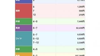 100円が363万円に！ 伏兵オニクダイスキマンが勝利し大井5Rは波乱決着に