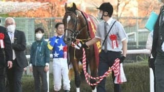 リアルスティールが新種牡馬ランキング首位に 初年度産駒から早くも重賞ウィナー誕生