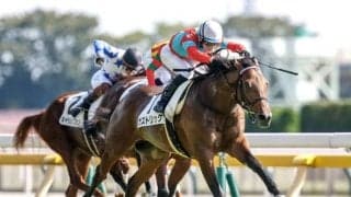【東京スポーツ杯2歳S展望】世代屈指の出世レース、決め手勝負になりやすい