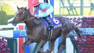 華麗なる”レコード一族”の良血GI馬 欧州の名手とマイルCSへ