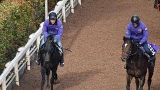 ヴィブロスの2020など、先週の入厩情報/栗東トレセンニュース