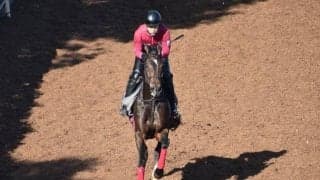 ロッソジュリアなど、先週のゲート試験/栗東トレセンニュース