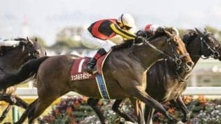 【マイルCS予想オッズ】シュネルマイスターが予想1番人気