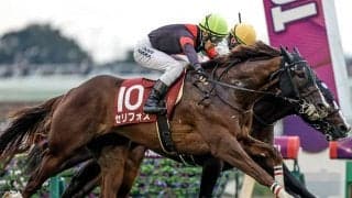 前走はノーステッキでGI馬に勝利 マイル重賞3勝の実力派がマイルCSに登場