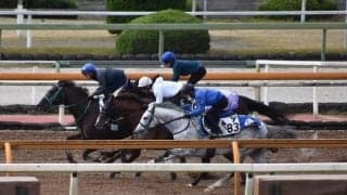 ボッケリーニ、ジャパンC1週前追い切り速報/栗東トレセンニュース