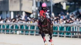 【兵庫CS】戸崎「久々の影響あったかも」無敗馬ドライスタウトは4着