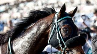 同じ一族に活躍馬多数 デビュー無傷2連勝の期待馬がJpnI参戦へ