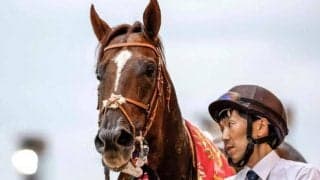 【マイルCS予想】近2年は3連単4ケタ配当 堅いレースだけにAIも人気馬を指名!?