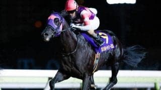 【大井・ハイセイコー記念結果】マンダリンヒーローがデビュー4連勝で重賞制覇