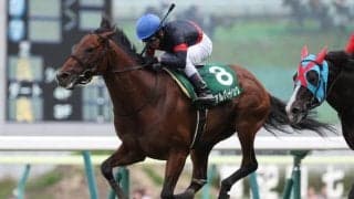 日本馬アルバートドックの産駒がイタリアでG2制覇 二代父はディープインパクト