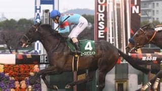 マイルCSで狙うべきは「レースと縁がある血統馬」。唯一のディープインパクト産駒による波乱の可能性も