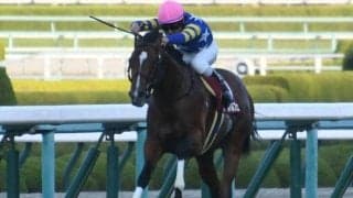 リアルスティール産駒の重賞一番星が2歳GIへ