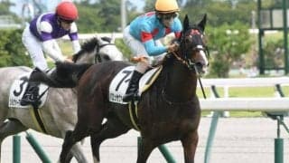 ジャパンC優勝馬の全妹がエリカ賞で無傷2連勝へ