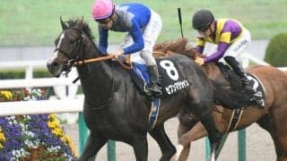 叔母に2頭のGI馬を持つセブンマジシャンはホープフルSへ 無傷3連勝での戴冠狙う