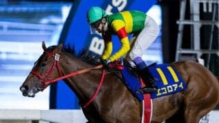 【兵庫ジュニアグランプリ】JRA出走予定馬