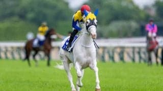 【マイルCS】出走馬の調教後の馬体重