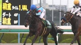 マイルCSは有力３歳馬２頭でなく、荒れ馬場でも力を発揮できる人気薄の３歳馬２頭に要注意