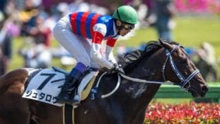 【武豊日記】うれしいニュース