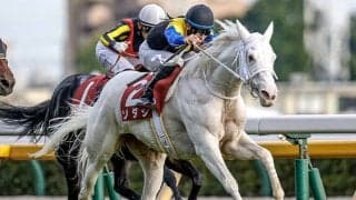 【マイルCS枠順確定】シュネルマイスターは2枠4番、ソダシは3枠6番