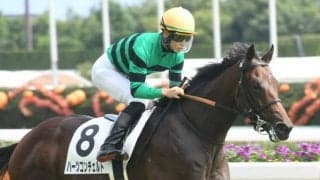 【東京スポーツ杯2歳S枠順確定】フェイトは5枠5番、ハーツコンチェルトは7枠8番