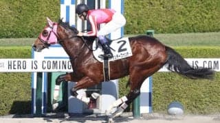 【新馬/阪神4R】武豊 サンデーファンデーがデビューV