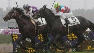 【新馬/阪神5R】ブラックタイド産駒 サンライズピースがデビューV