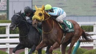 アナザートゥルースが競走馬登録抹消