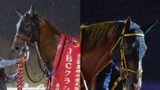 昨年6馬身差圧勝のダート王が連覇を狙う チャンピオンズC出走想定馬