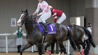 マイルCSは人気の盲点となる実力馬に注意。今の阪神の馬場にハマる大外一気で一発を狙う