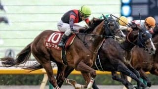 【マイルCS予想】馬場想定から勝ち負け必至!? ひと夏越して実が入った3歳馬に期待