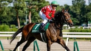 関東馬キタウイングは阪神JFに向け栗東で調整中 鞍上は和田竜二騎手に決定