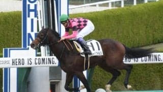 【阪神6R新馬戦結果】武豊騎手騎乗のスマートフォルスが押し切りV