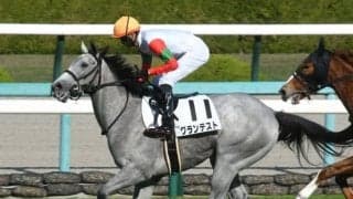 【阪神5R新馬戦結果】ロードカナロア産駒グランテストが直線で抜け出し快勝
