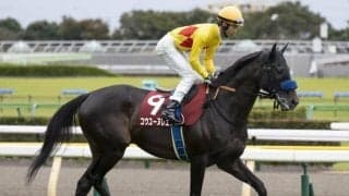 【秋陽JS】熊本産馬コウユーヌレエフが優勝！ 11番人気の評価を覆す