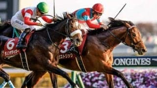 【東京スポーツ杯2歳S結果】ガストリックが追い比べを制しデビュー2連勝