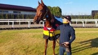 独G1バイエルン大賞10馬身差圧勝のテュネスが来日 ジャパンCに参戦予定